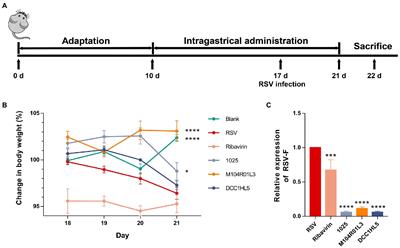 Lactobacillus mucosae exerted different antiviral effects on respiratory syncytial virus infection in mice